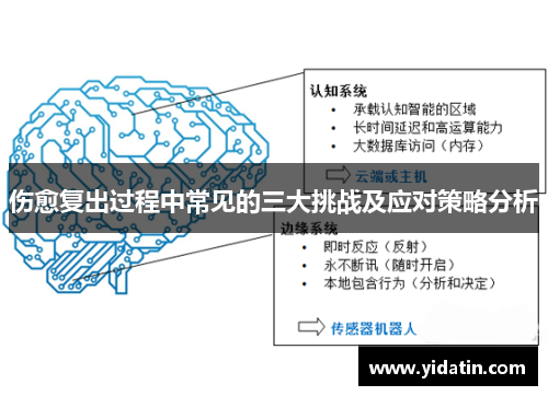 伤愈复出过程中常见的三大挑战及应对策略分析