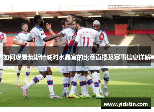 如何观看莱斯特城对水晶宫的比赛直播及赛事信息详解